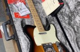 Fender American Professional Telecaster Ash 2 Tone Sunburst-8.jpg